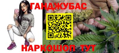 хмурый Шелехов