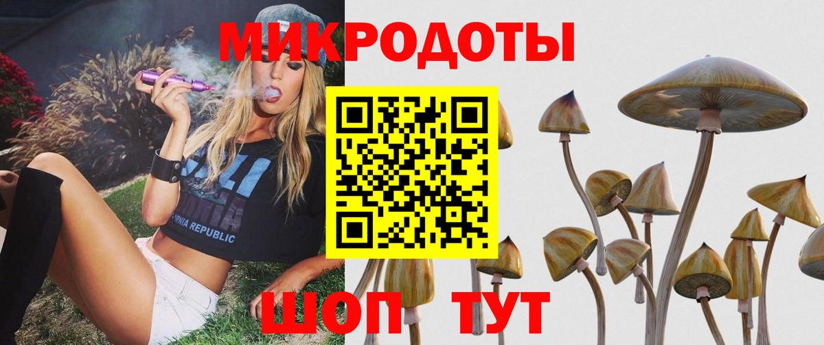 Псилоцибиновые грибы Cubensis Куйбышев