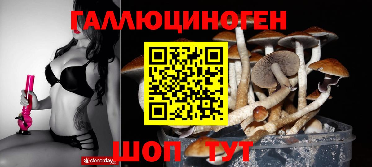 Куйбышев  Псилоцибиновые грибы Psilocybe  Вход с VPN 
